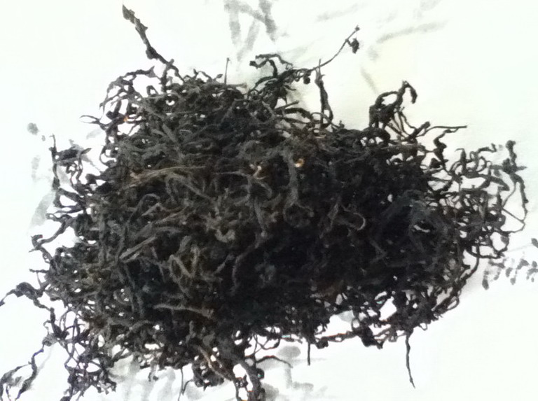 潮汕工夫茶之梅劍單樅茶